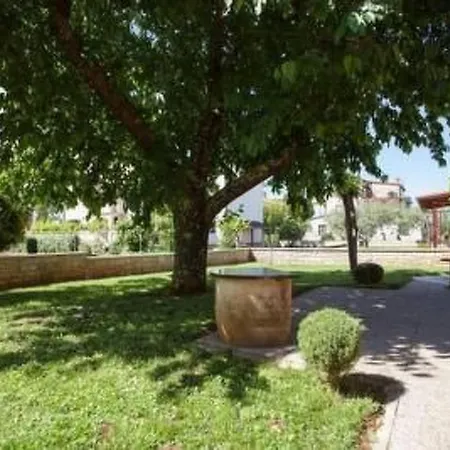 In Novigrad Mit Schoener Terrasse By Interhome Appartement